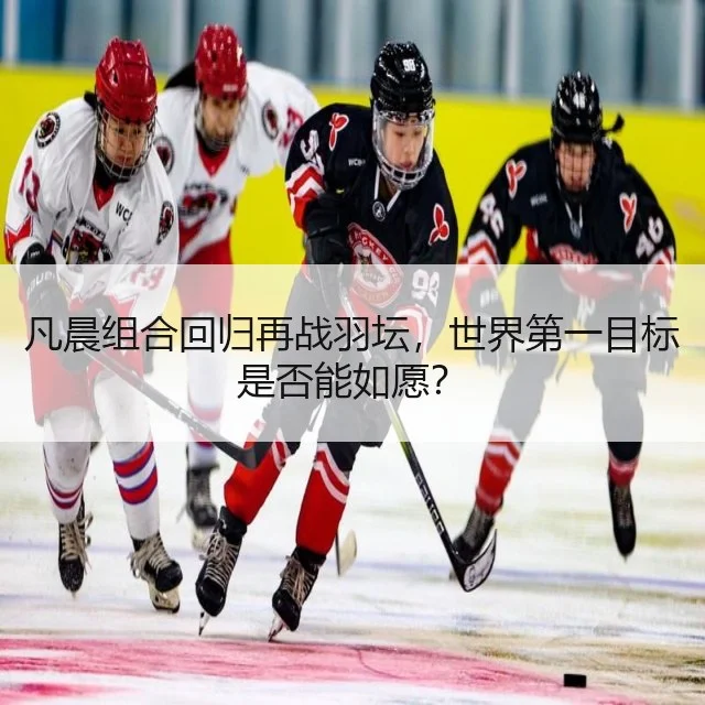 凡晨组合回归再战羽坛,世界第一目标是否能如愿?